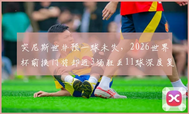 突尼斯世非预一球未失，2026世界杯前换门将却近3场狂丢11球深度复盘：问题出在哪？