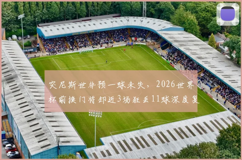 突尼斯世非预一球未失，2026世界杯前换门将却近3场狂丢11球深度复盘：问题出在哪？